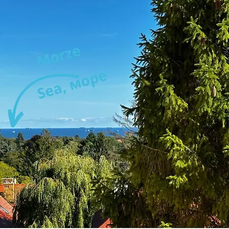 Surf - 5 Minutes To Molo & Seaside ホームステイ